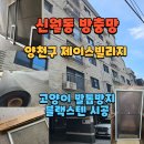 (주)경기스텐 | 블랙스텐 고양이 반려묘 탈출차단 방묘창, 양천구 신월동