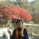 건강한 아낙네