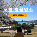 푸른숲작은도서관 | 포항 벚꽃 명소 Best 5 영일대 호수공원 청림 푸른숲 작은도서관 창포동 마장지 환호공원 철길숲