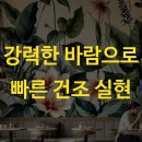 강력한 바람으로 빠른 건조 실현