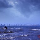 행복을낚는어부 이미지