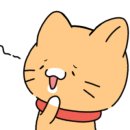 순한고양이 이미지