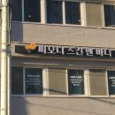 피오니 스킨 앤 바디 이미지