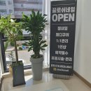 끌로쉬네일 :: 향남 네일샵 존예로운 봄네일 후기!