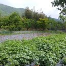 신우리공인중개사사무소 이미지