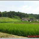 청성군 사우 이미지