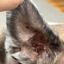 보라시민약국 이미지