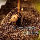 일번지유통 이미지