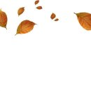 A 토탈 피트니스 이미지