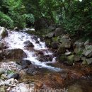 숲실산방 동행미디어 시대