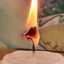 호 타로 이미지