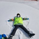 우현튼튼태권도장 이미지