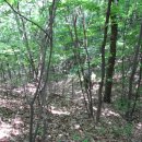 매암산 등산로 이미지