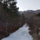 내린천 주말농장 이미지