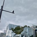 상상카프라자 이미지