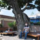 옥천1리 이미지