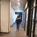 스윔스타즈 이미지