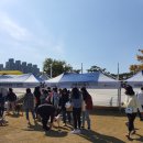 디에스동물병원 | 광주 빛고을 반려동물한마당 실컷 즐기고 온 후기!