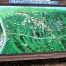 청량산유림길 이미지