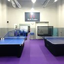 멀티트레이더스 이미지