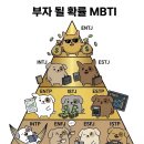 부자될 확률이 높은 MBTI 순위 이미지