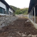 백운농장(1) 이미지