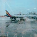 백봉한의원 | 추석 명절, 제주도 :)