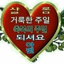 샬롬 이미지
