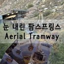 팜스프링스 | 눈 내린 Aerial Tramway 후기, 팜 스프링스 가볼 만한 곳