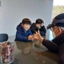 셰입오브워터 이미지