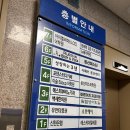 빈야사요가 초급반 | 대전 둔산동 플라잉요가 필라테스인바디앤요가 초급반 수업 후기