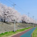 번암리 조천연꽃공원1 이미지