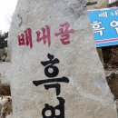 배내골흑염소 이미지