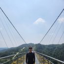 서울-원주(소금산출렁다리) 왕복 8시간 뚜벅이 당일치기 여행 후기