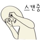 은성세차장 이미지