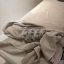 한아람초등학교 | 경기도 광주 발마사지 잘하는곳 더풋샵 내돈내산 후기