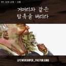 잠언라이프 네이버블로그