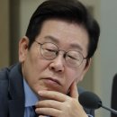 노란공인중개사사무소 네이버블로그