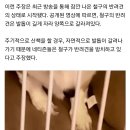 철구통 이미지