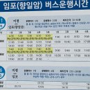 돌산읍사무소 | (2025년 06월) 여수 유명 관광지, 일출 명소, 분위기 좋은 사찰, &#34;향일암&#34;