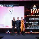 바비돌/픽시윙스캐터리 이미지