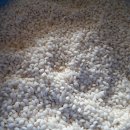 신지농장 이미지