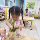 지장초등학교병설유치원 이미지