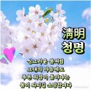 청명 이미지