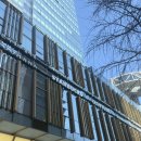 효자건강랜드 | [서울] 광화문 나들이 / 그랑서울 맛집_마치