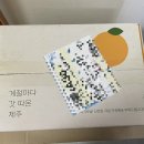 우리동네택배왕