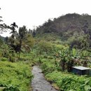 권총농장 이미지