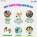 빵빵연대 이미지