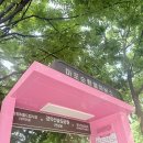 염리동 주민센터 | 마포순환열차 버스 🚍 서울 시티투어버스 신상 노선 후기
