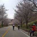 바람과 함께한 무주 그란폰도 코스투어 3부(2018년 상반기 팀 장거리 라이딩, 2018.4.15(일)) 부제3...